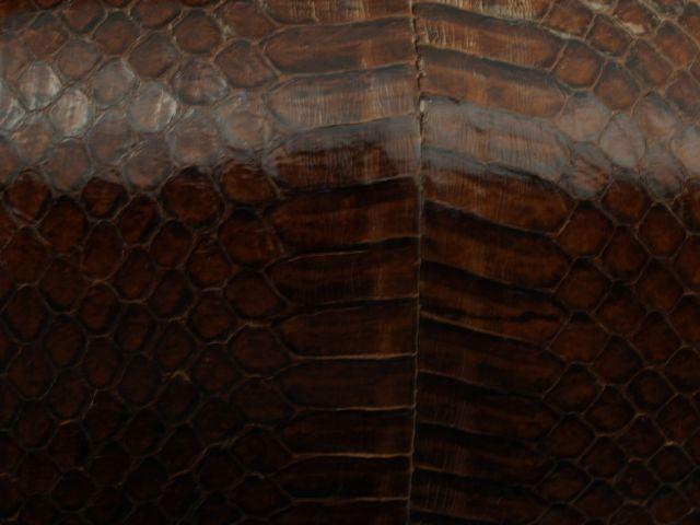 1950s Lizard Skin Purse Close-Up